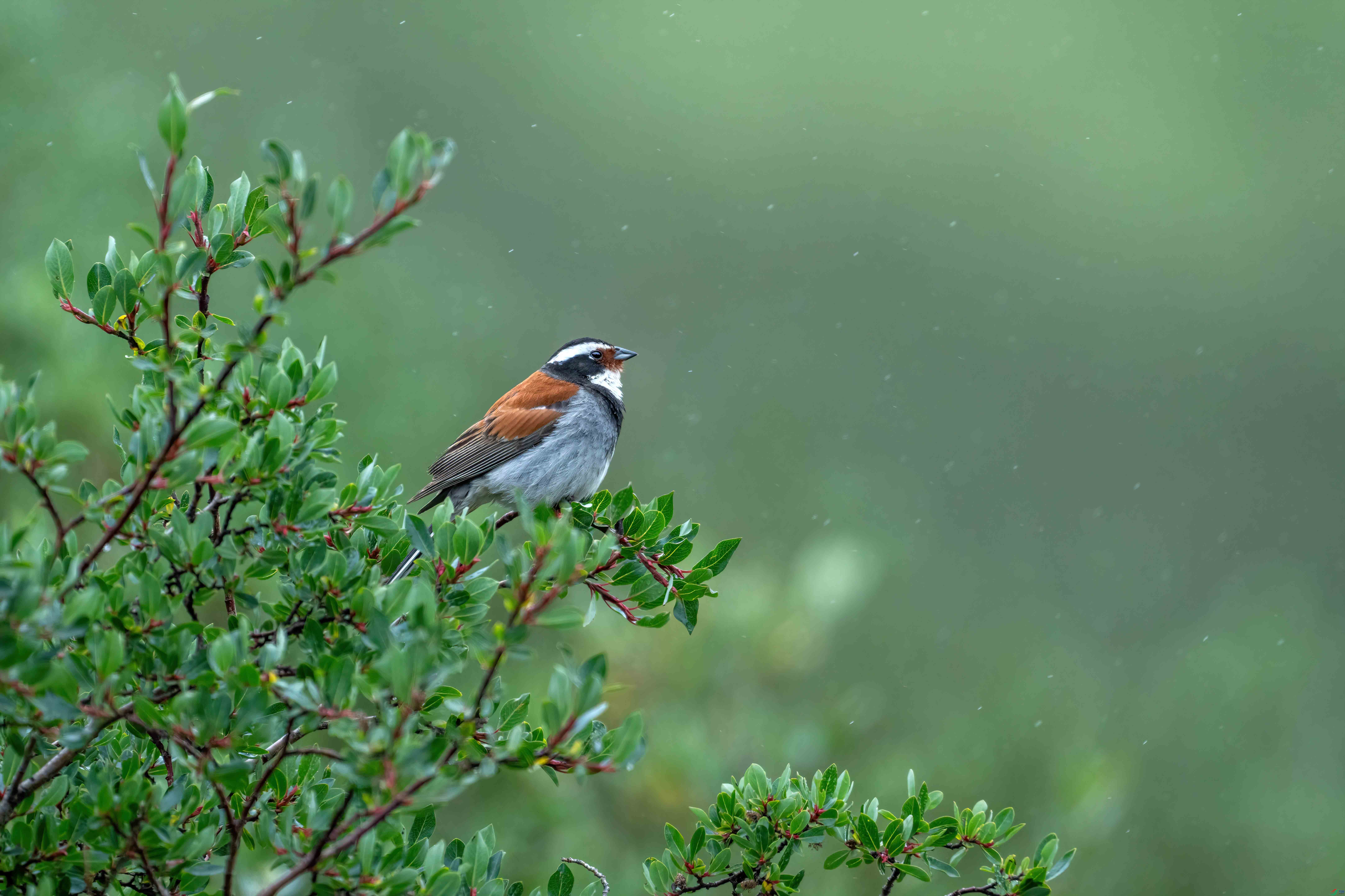 _DSC7754 ���� 1.jpg