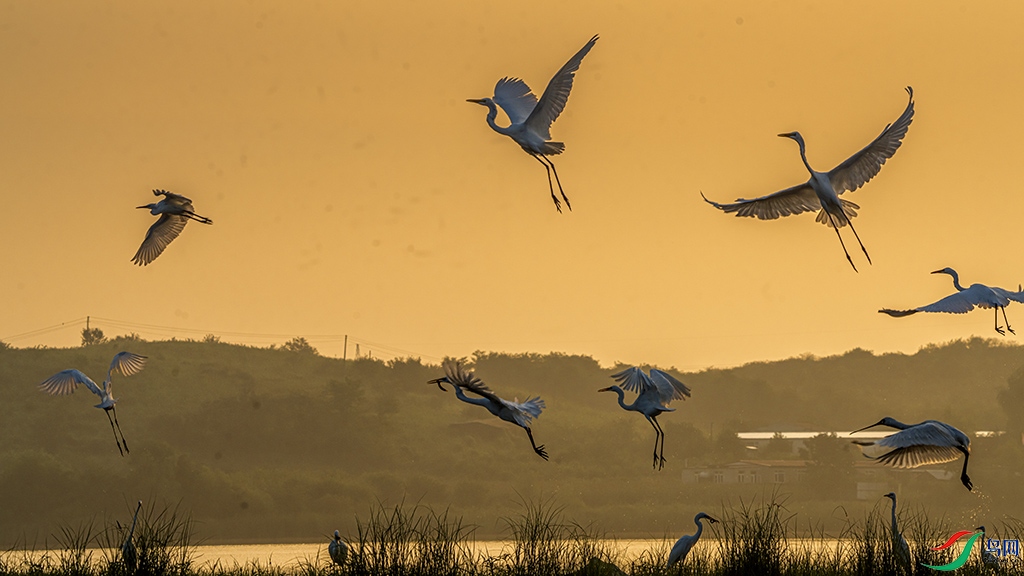 ���վ����� 