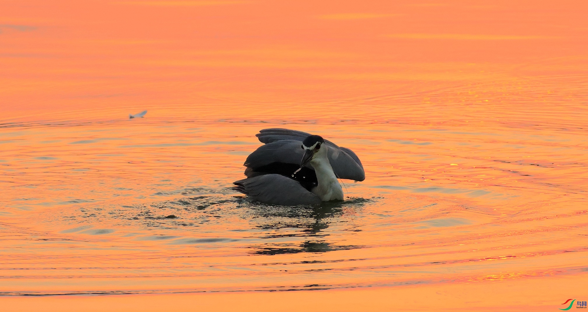 _35A3290_����.jpg