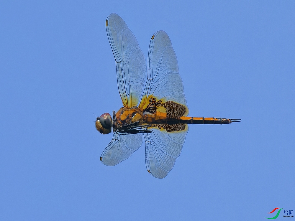 P8202144_DxO.jpg