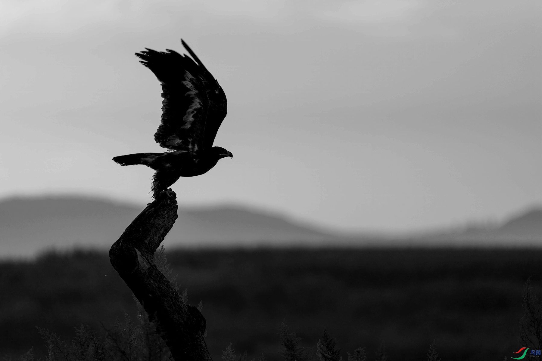 DSC05630 ����_����_����.jpg