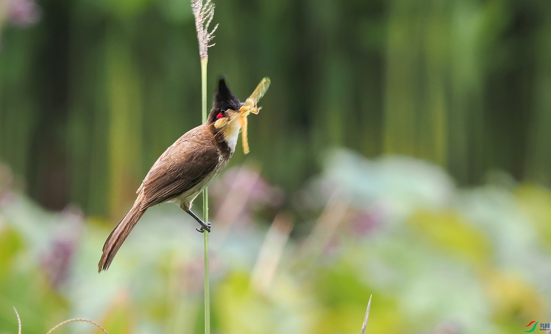 8��23�� (1) ����.jpg