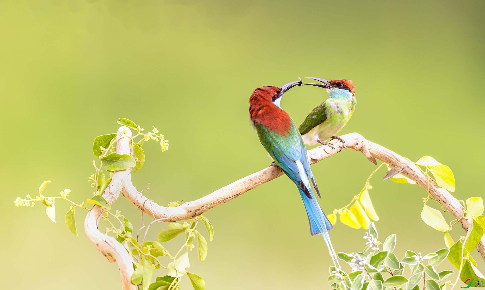 407A9272 ����----1 .jpg