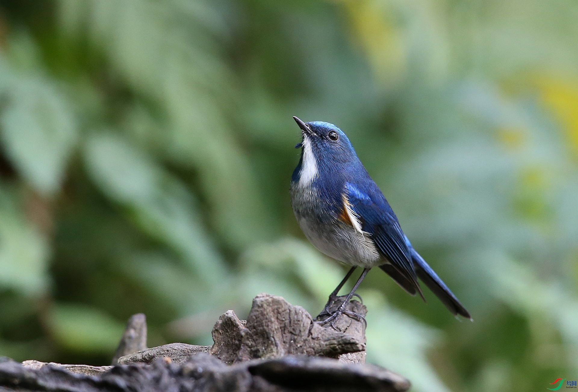 ���� IMGL7053.JPG