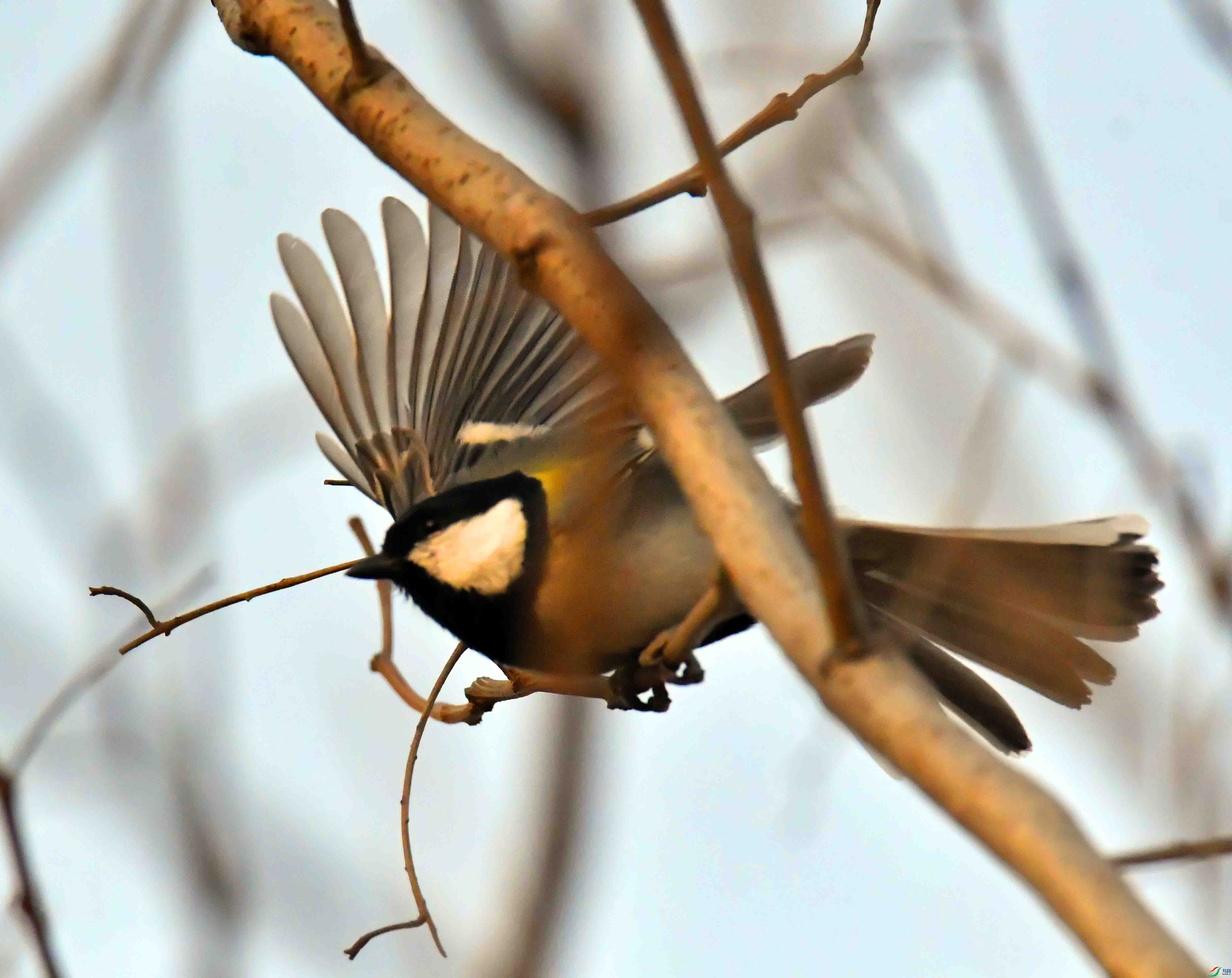 DSC_2681.JPG