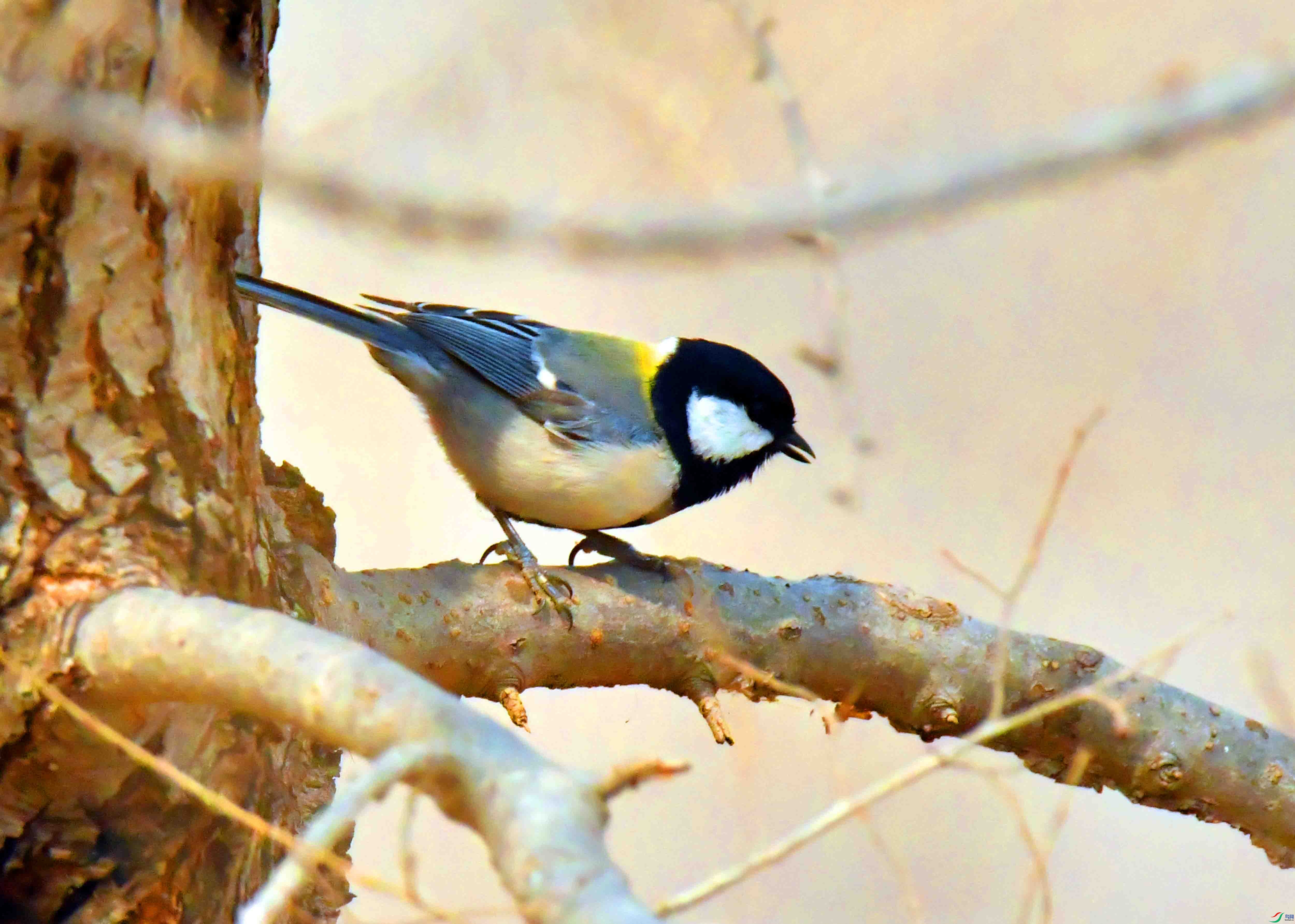 DSC_3773.JPG