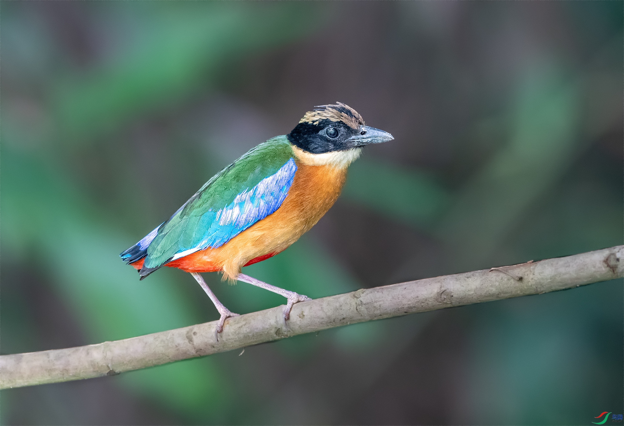 DSC_1123-2.jpg