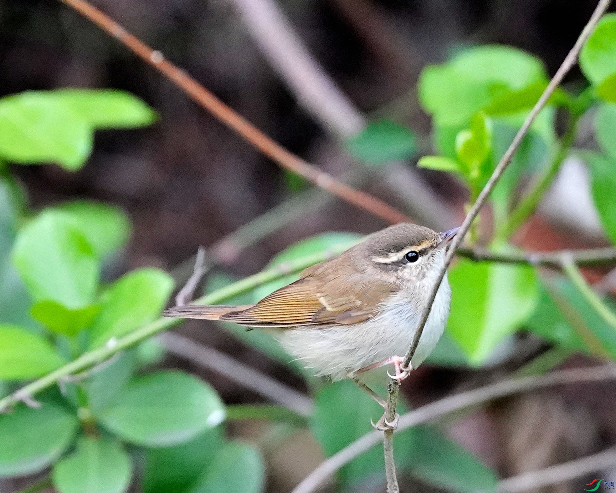 DSC09277.JPG