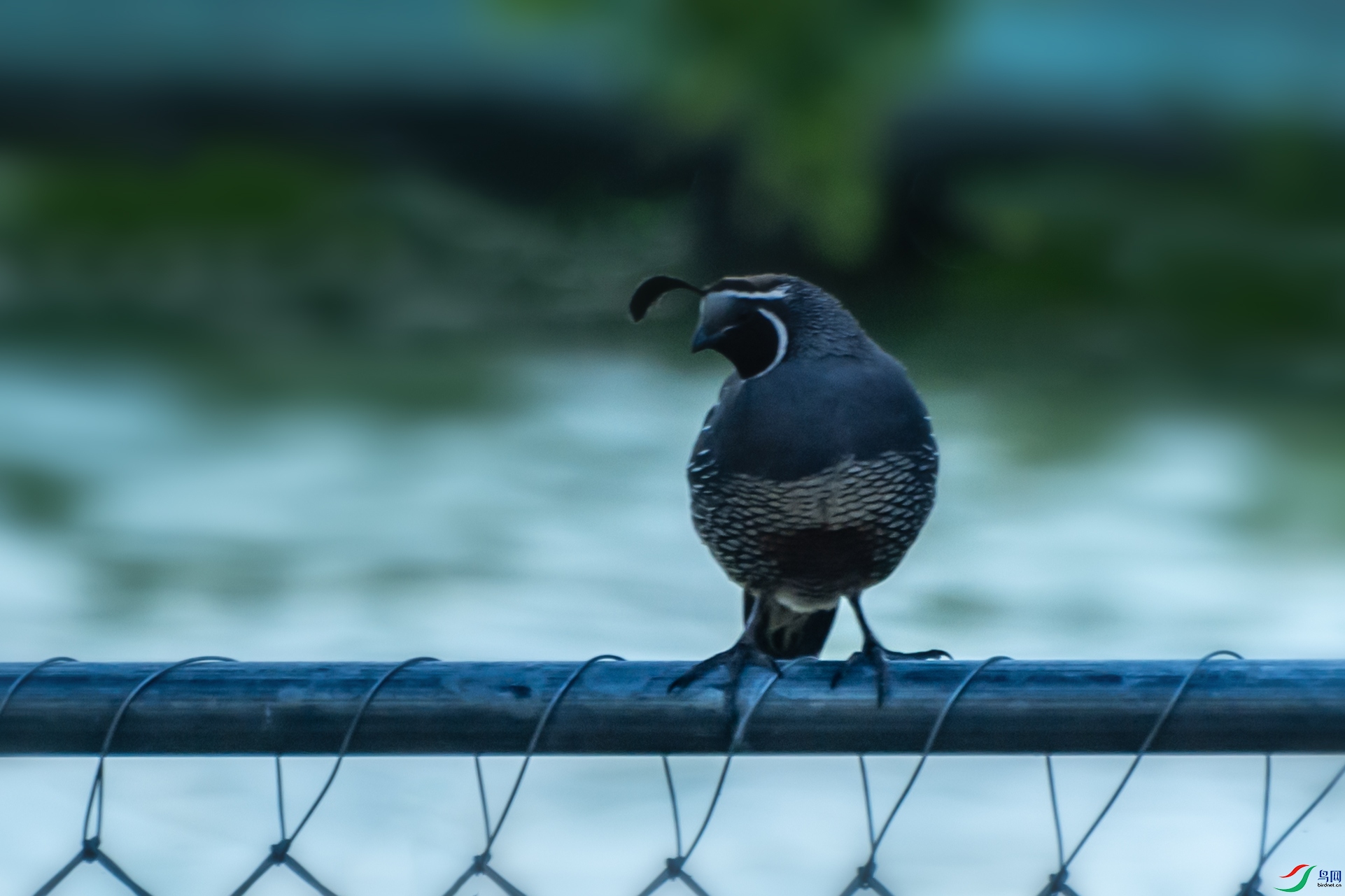 DSC_8901 ����.jpg