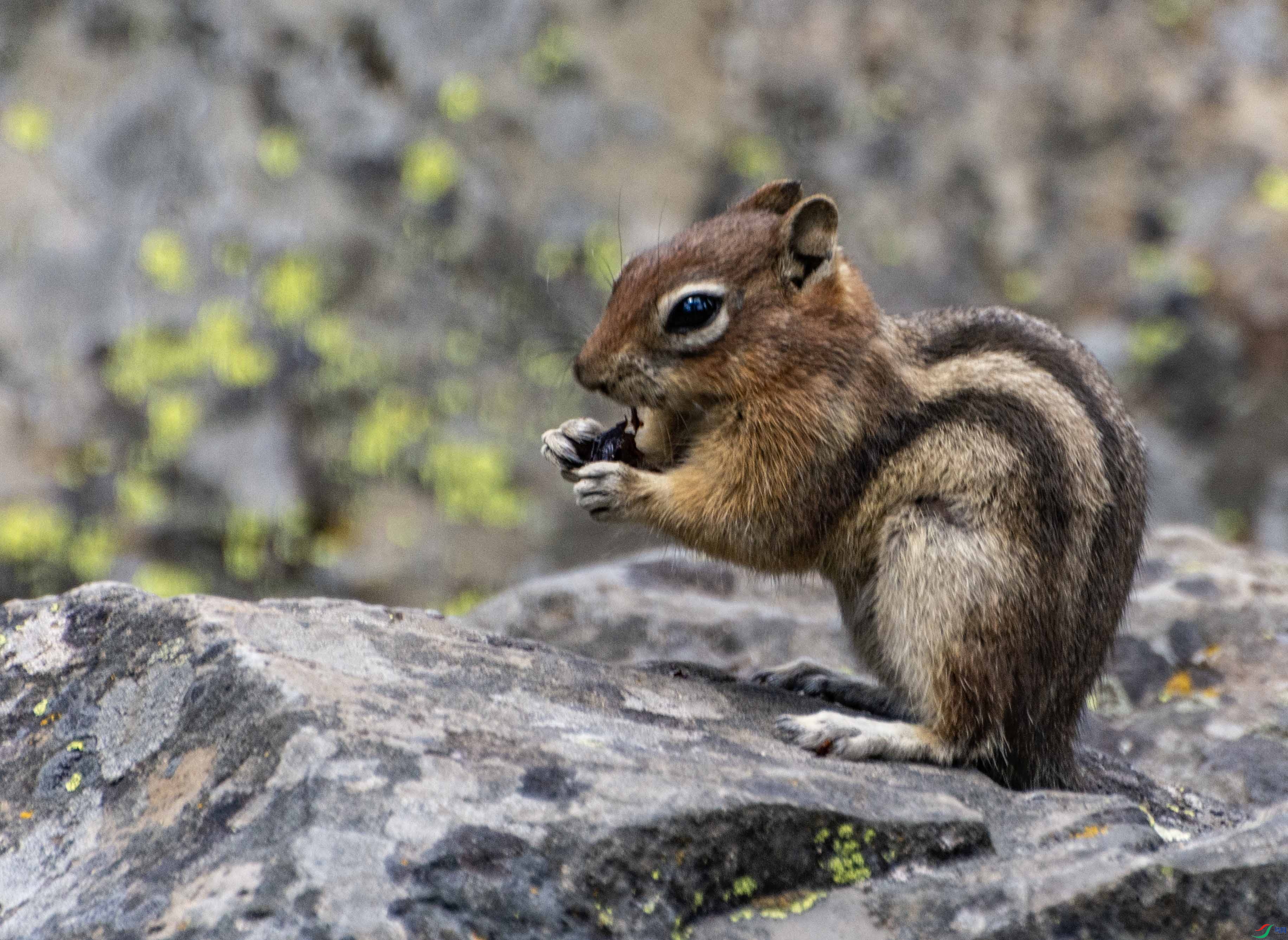 DSC_8466 ����.jpg