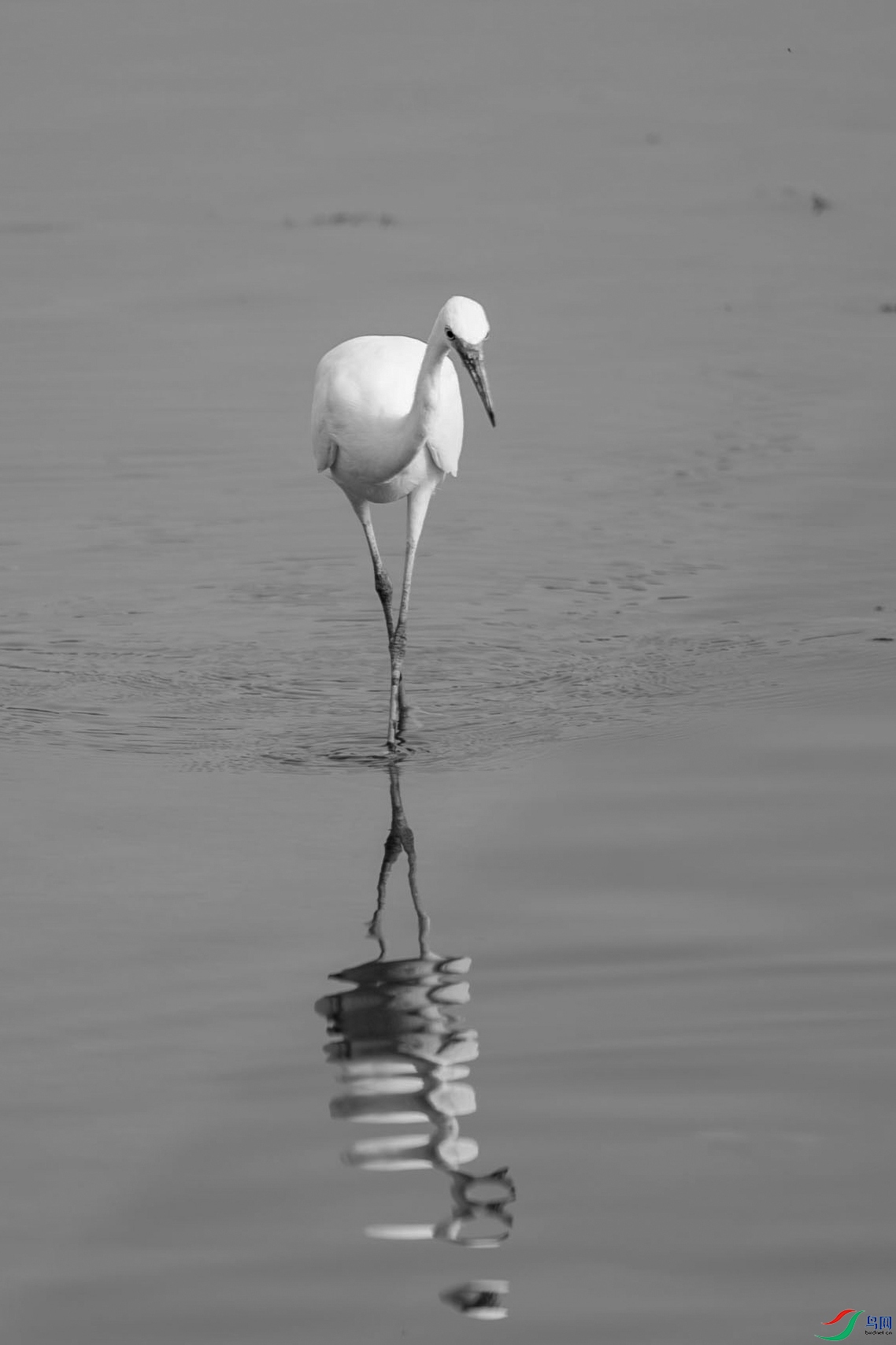 DSC_2120-.jpg