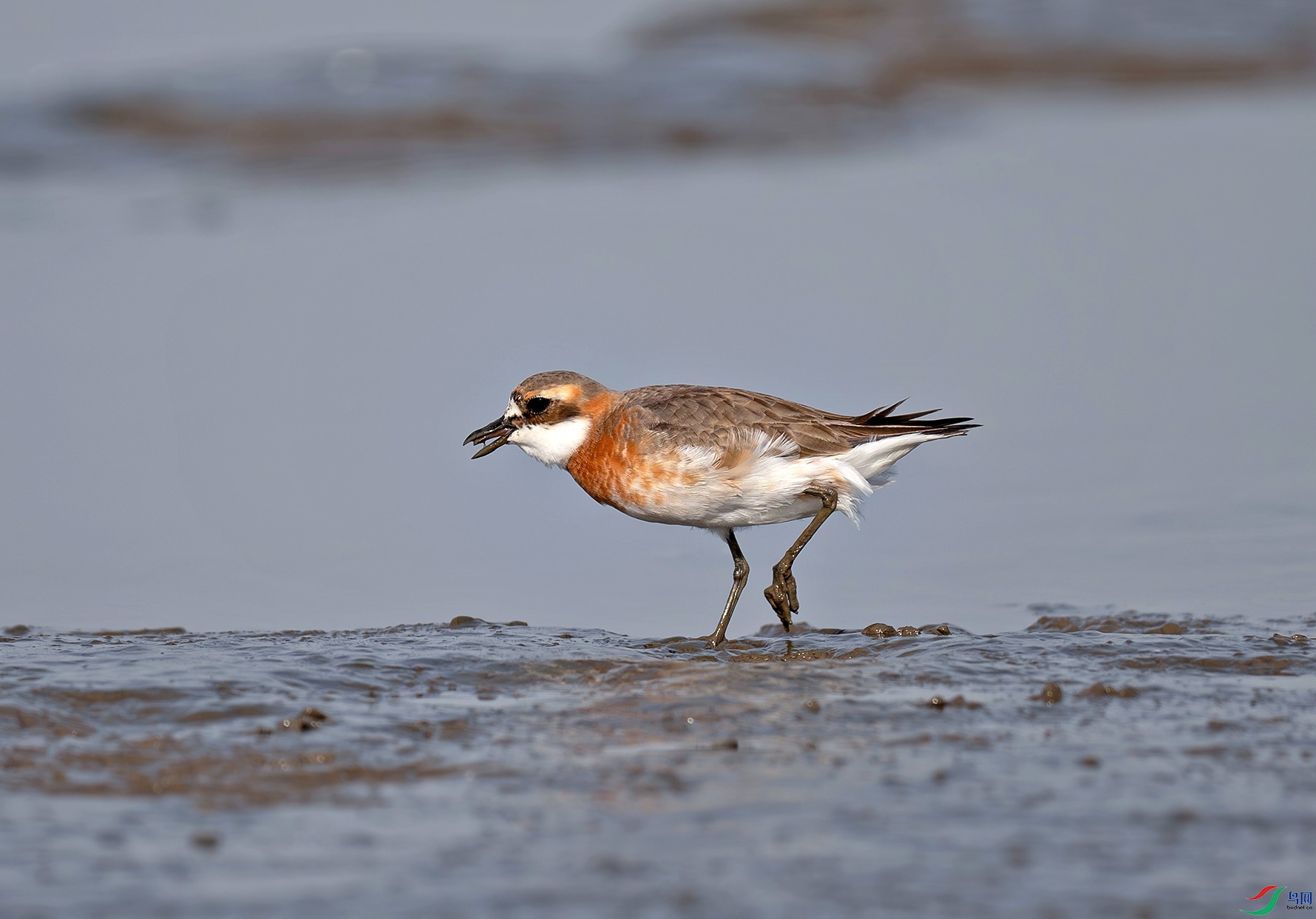 _DSC7102f.jpg
