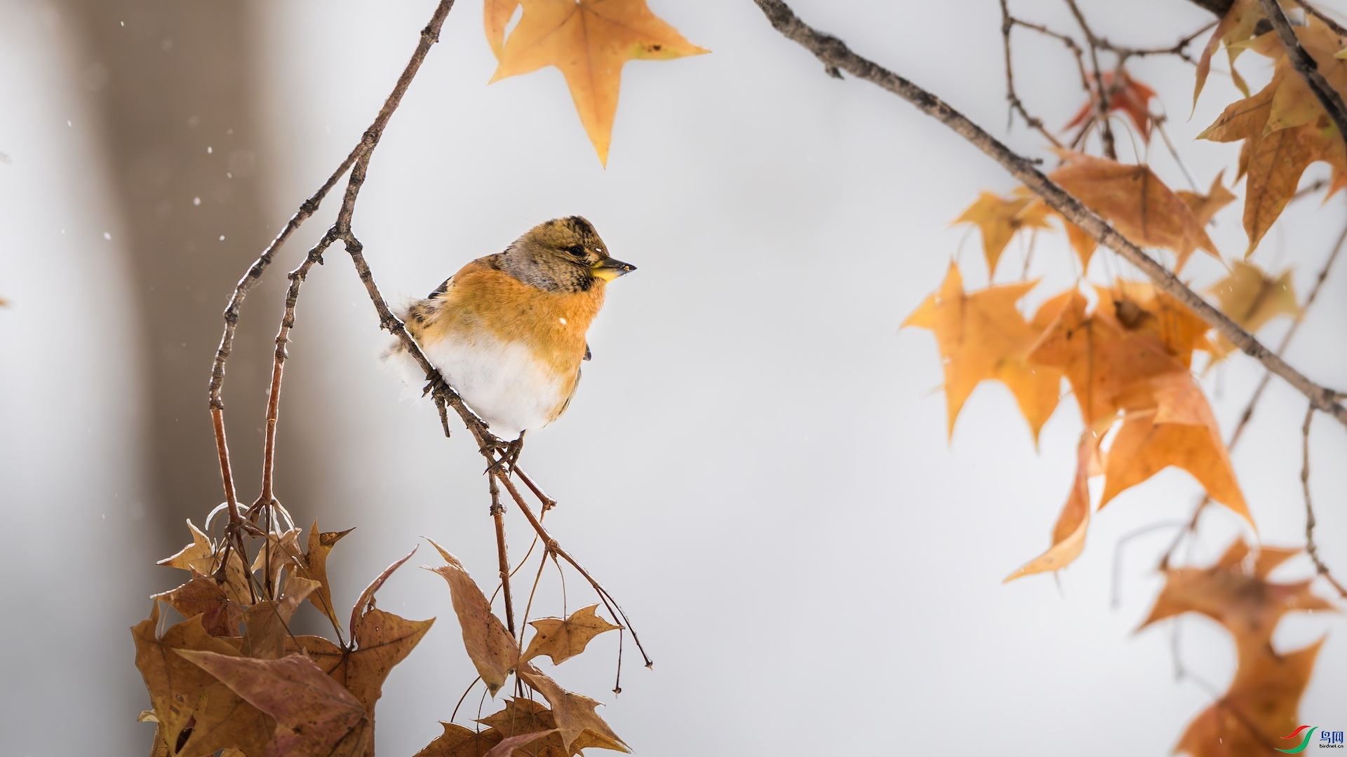 1_DSC7770-����ǿ-NR ����.jpeg