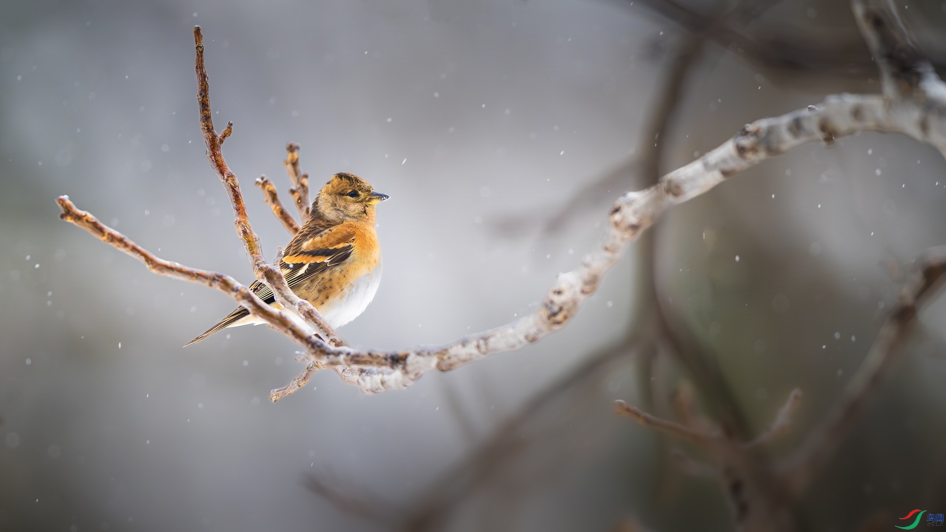 1_DSC8527-����ǿ-NR ���� 2.jpeg