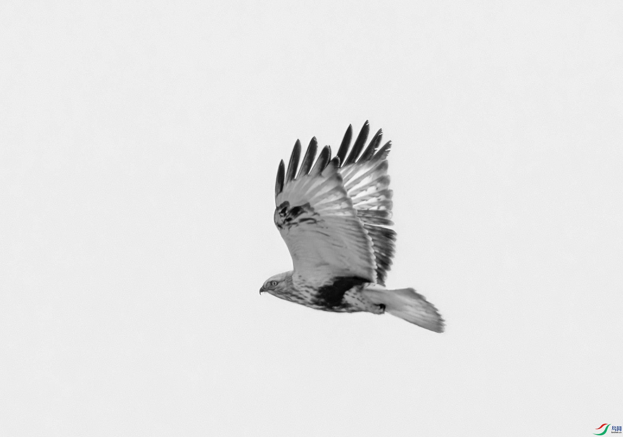 DSC08863 ����.jpg