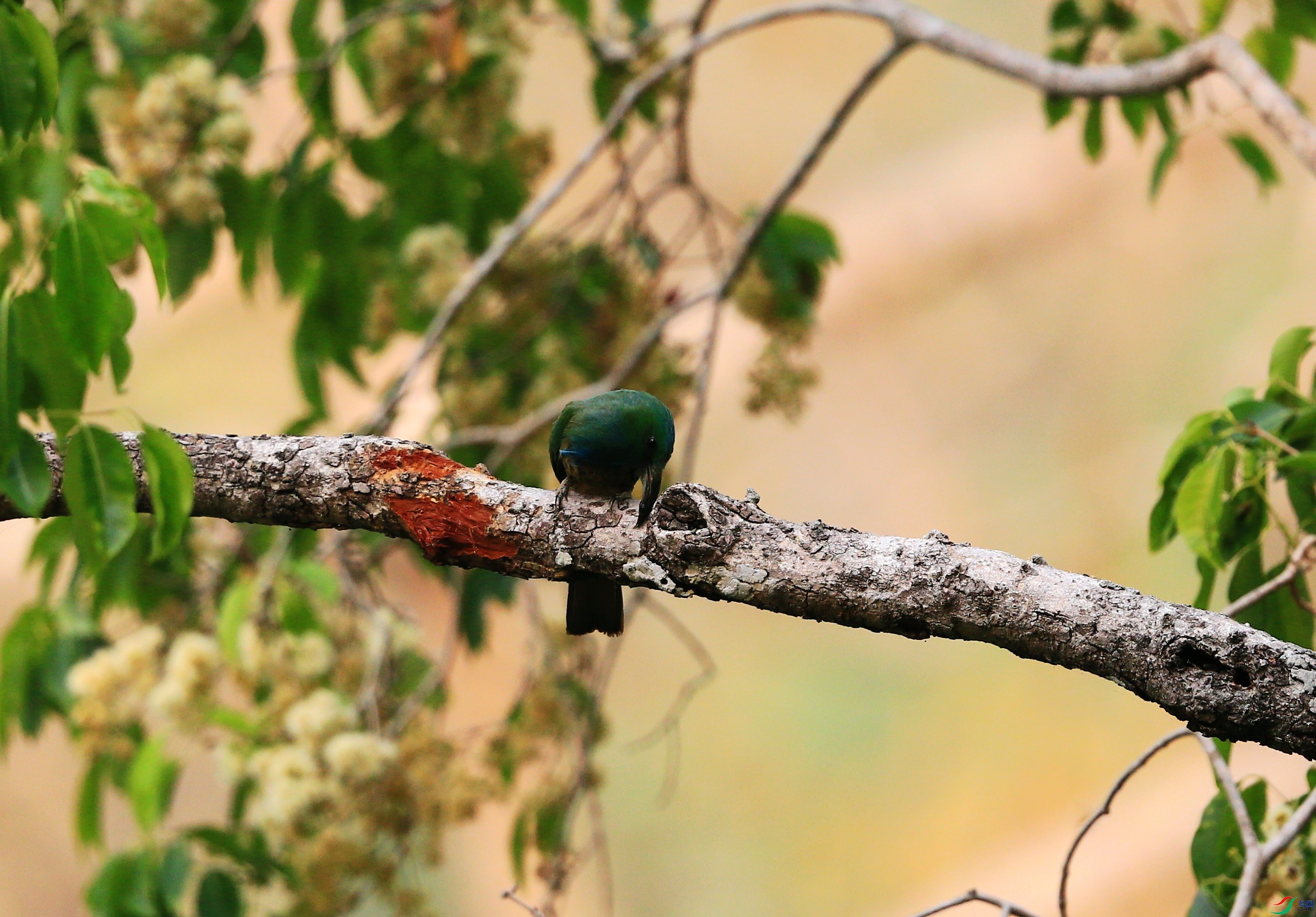 ����ҹ�仢 (14).JPG