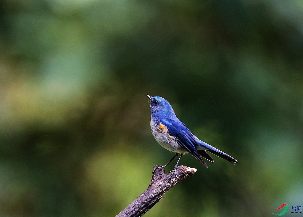 ���� IMGL6408.JPG