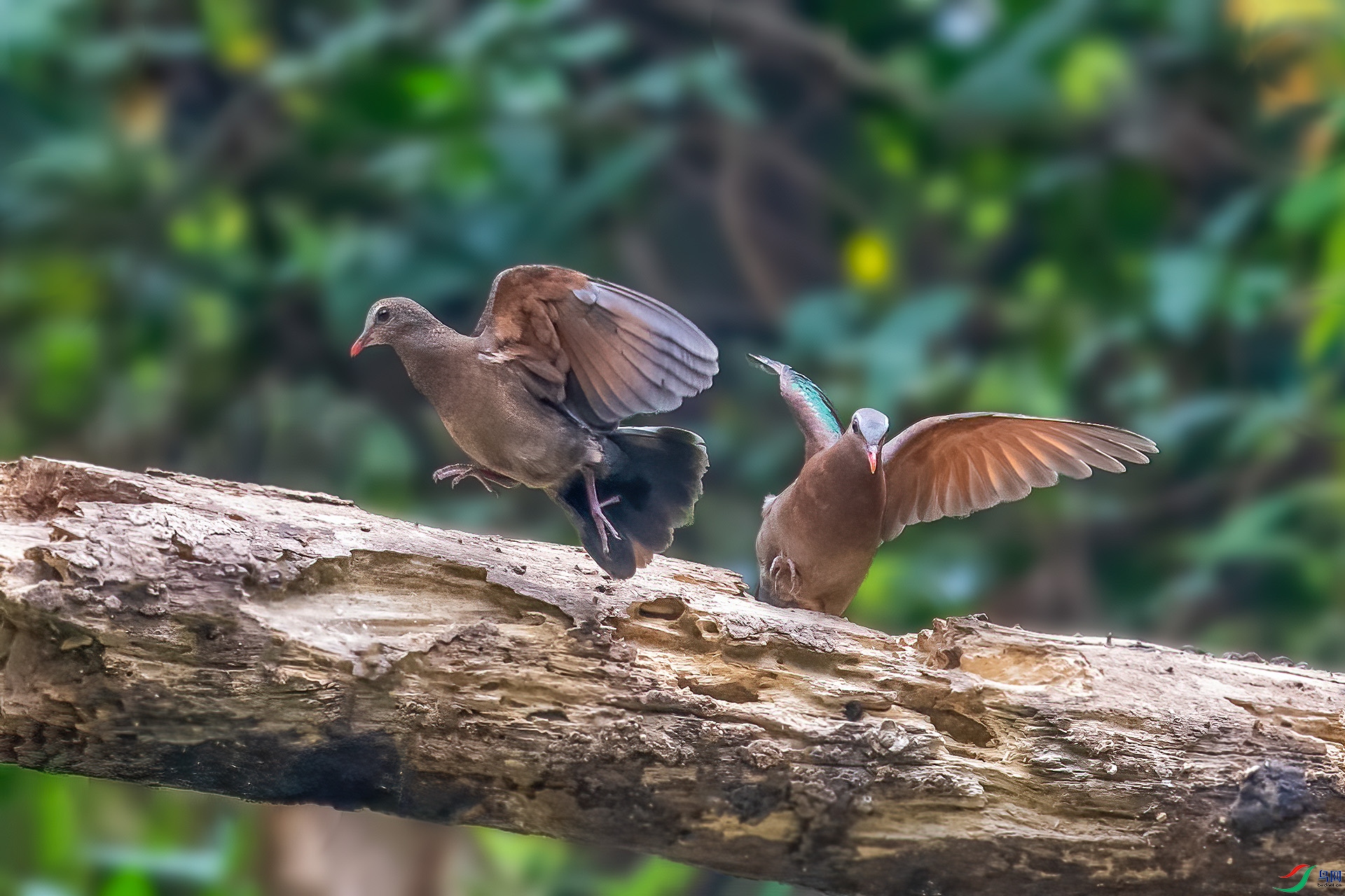 DSC_6473.jpg