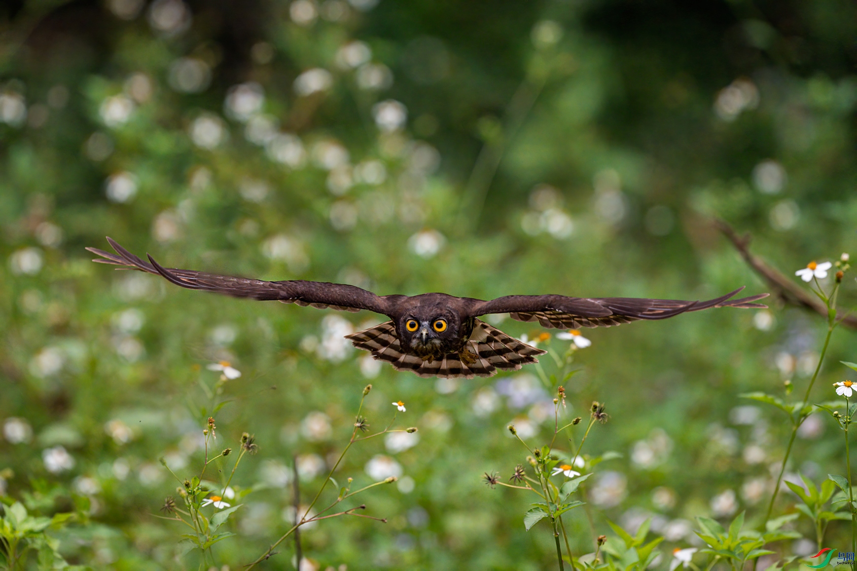 DSC_9458.jpg