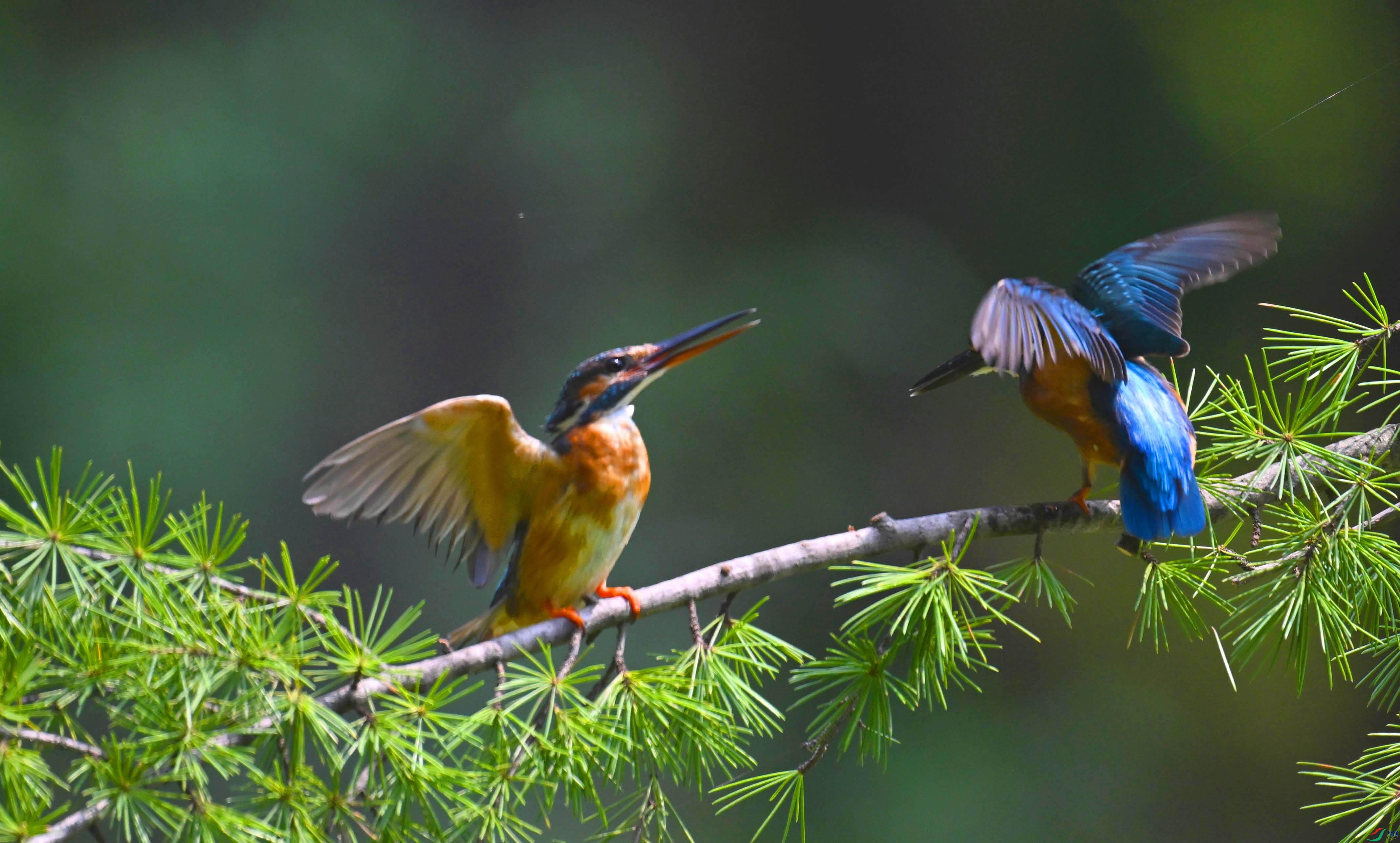 DSC_9908 ���� 3.jpg