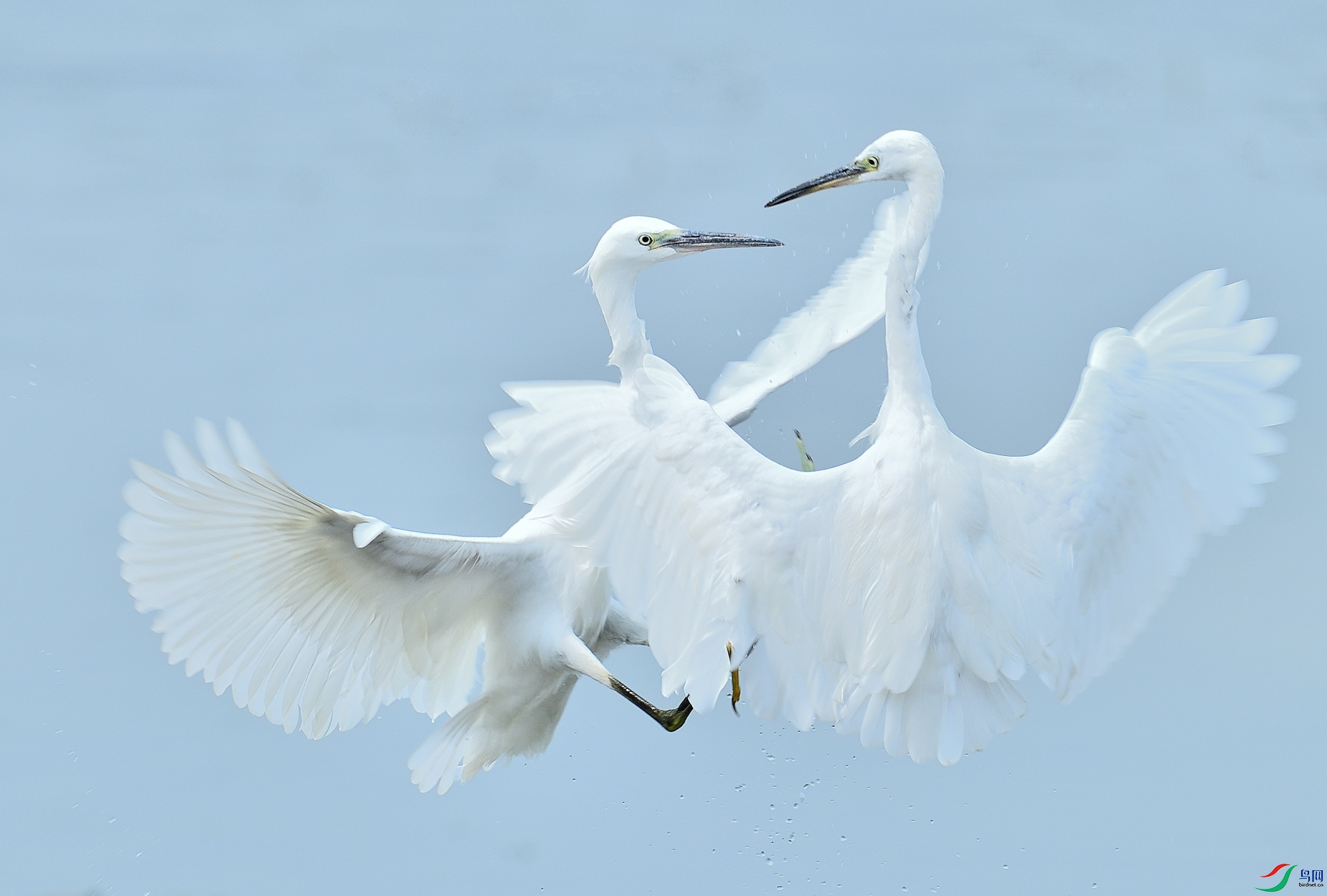 DSC_6942.JPG