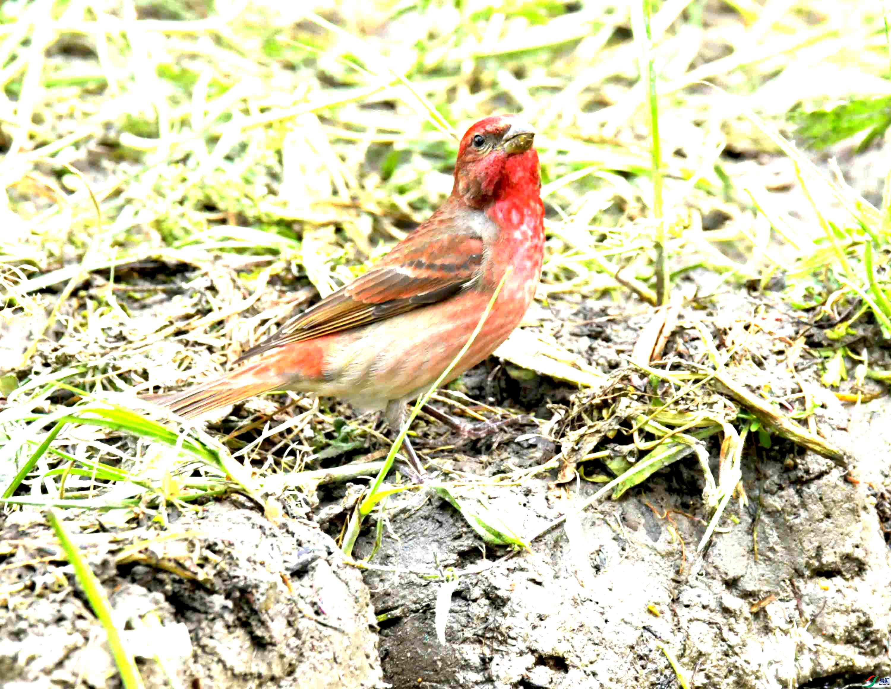 DSC_8652.JPG