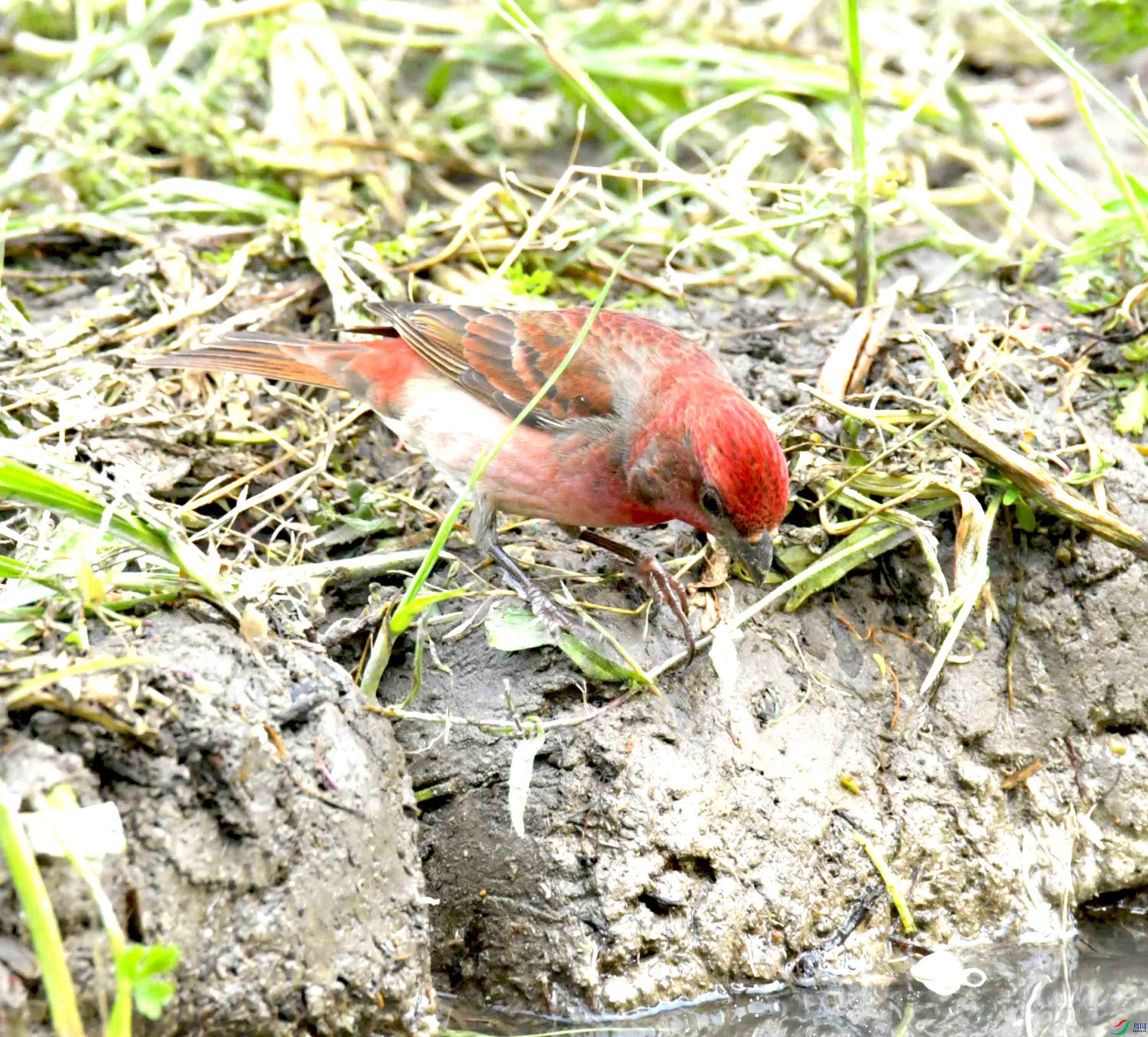 DSC_8664.JPG
