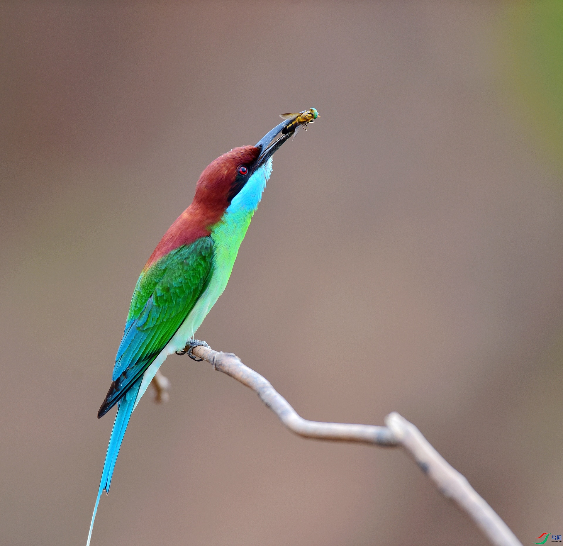 D8I_9856.jpg