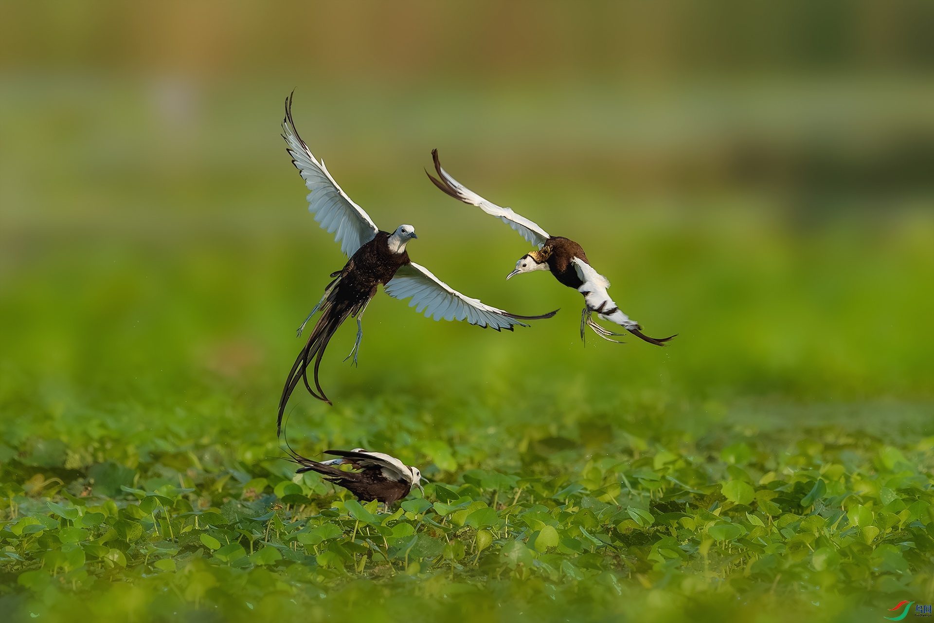 BE5I7055-����ǿ-NR ����С.jpg