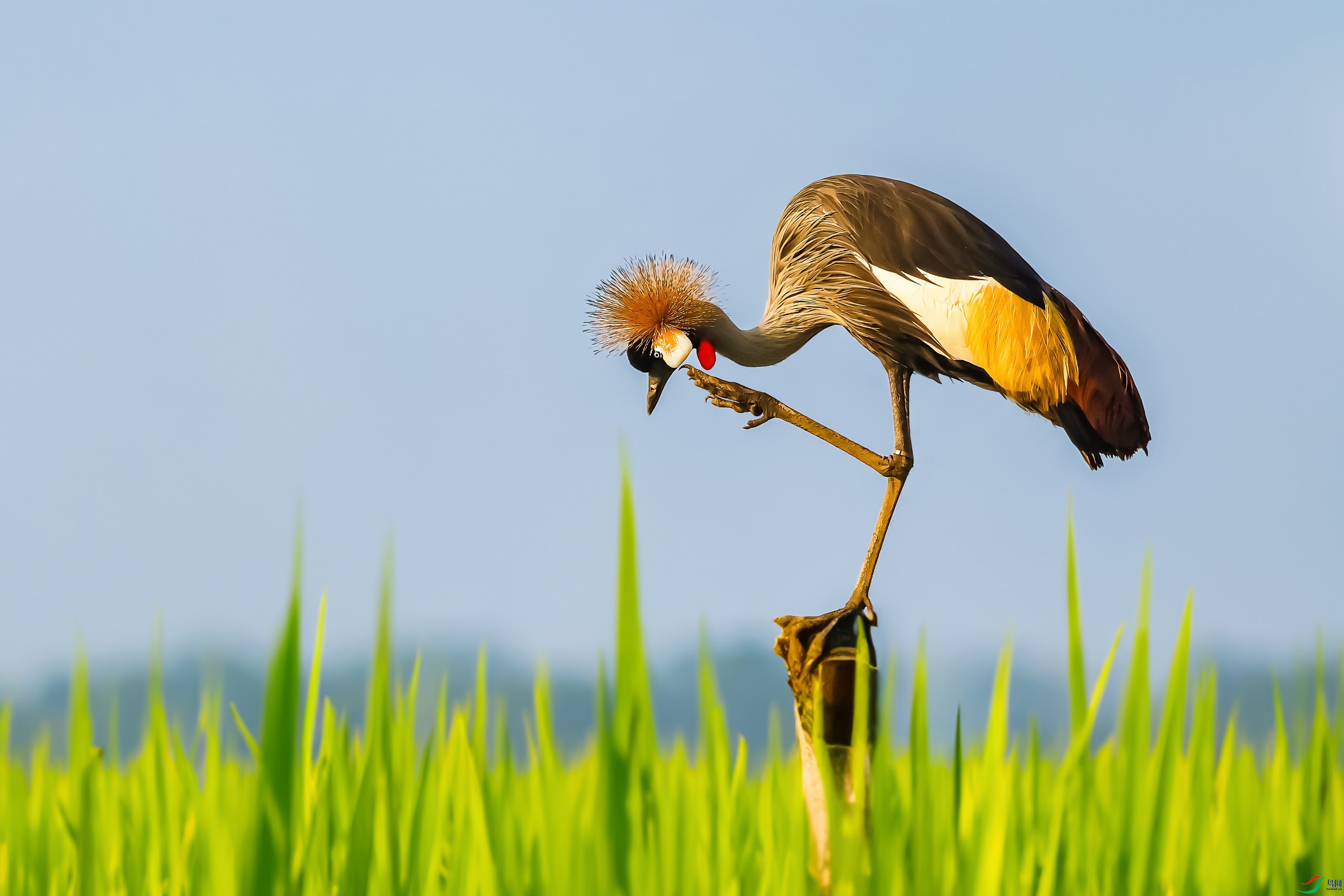 193A1998 ����.jpg