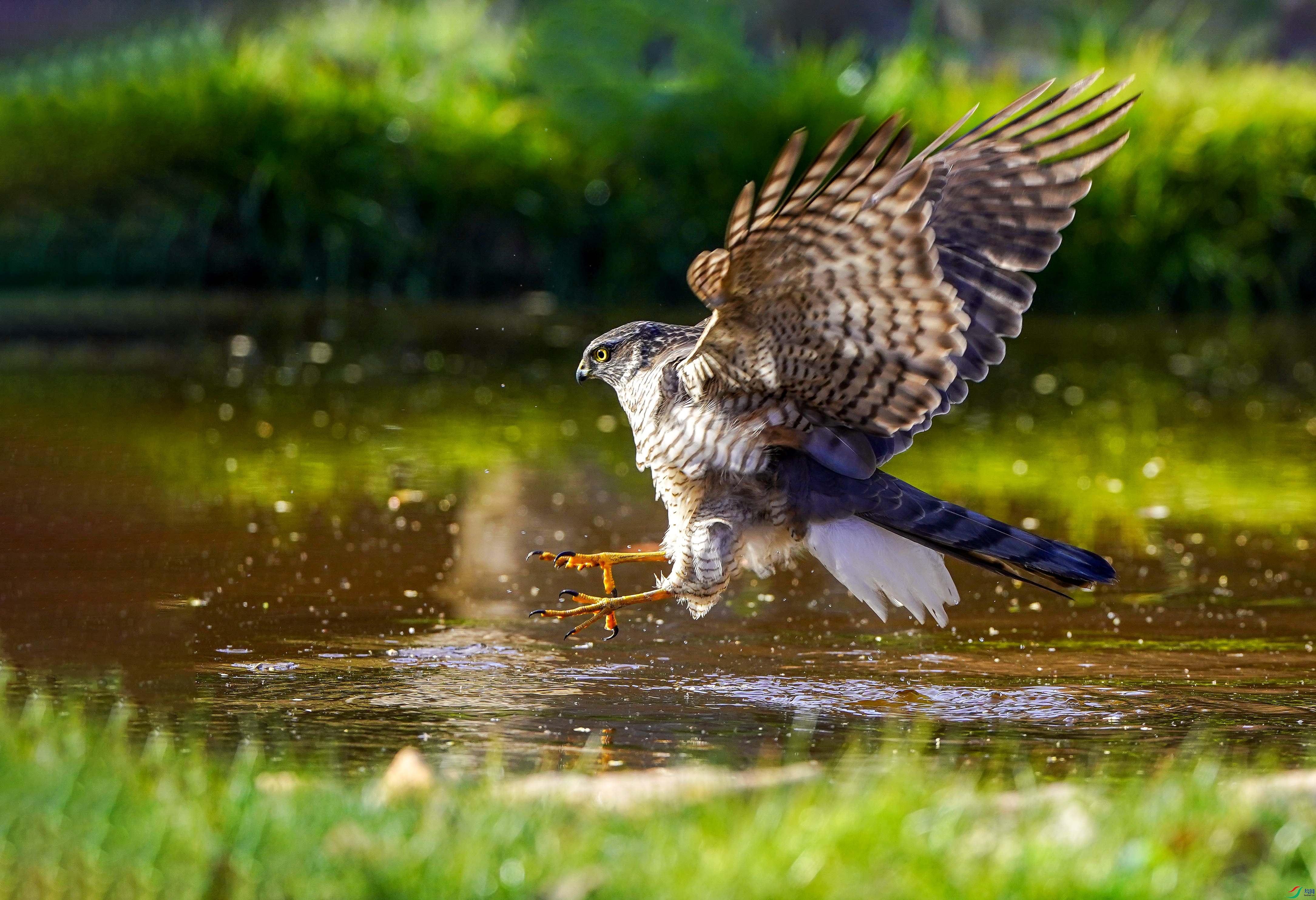 DSC09375 ����1.jpg