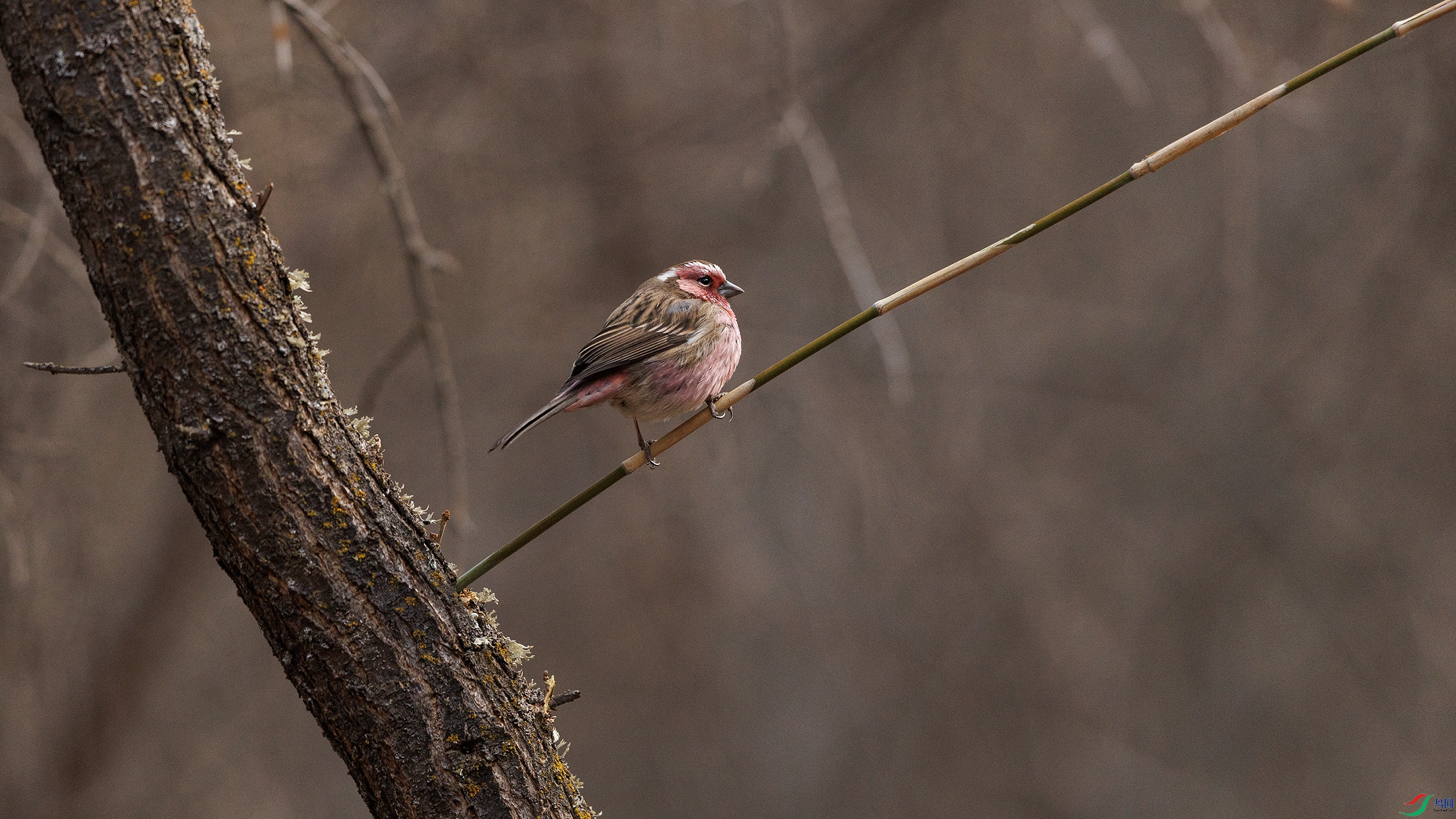 7X5A0287 ����00000.jpg