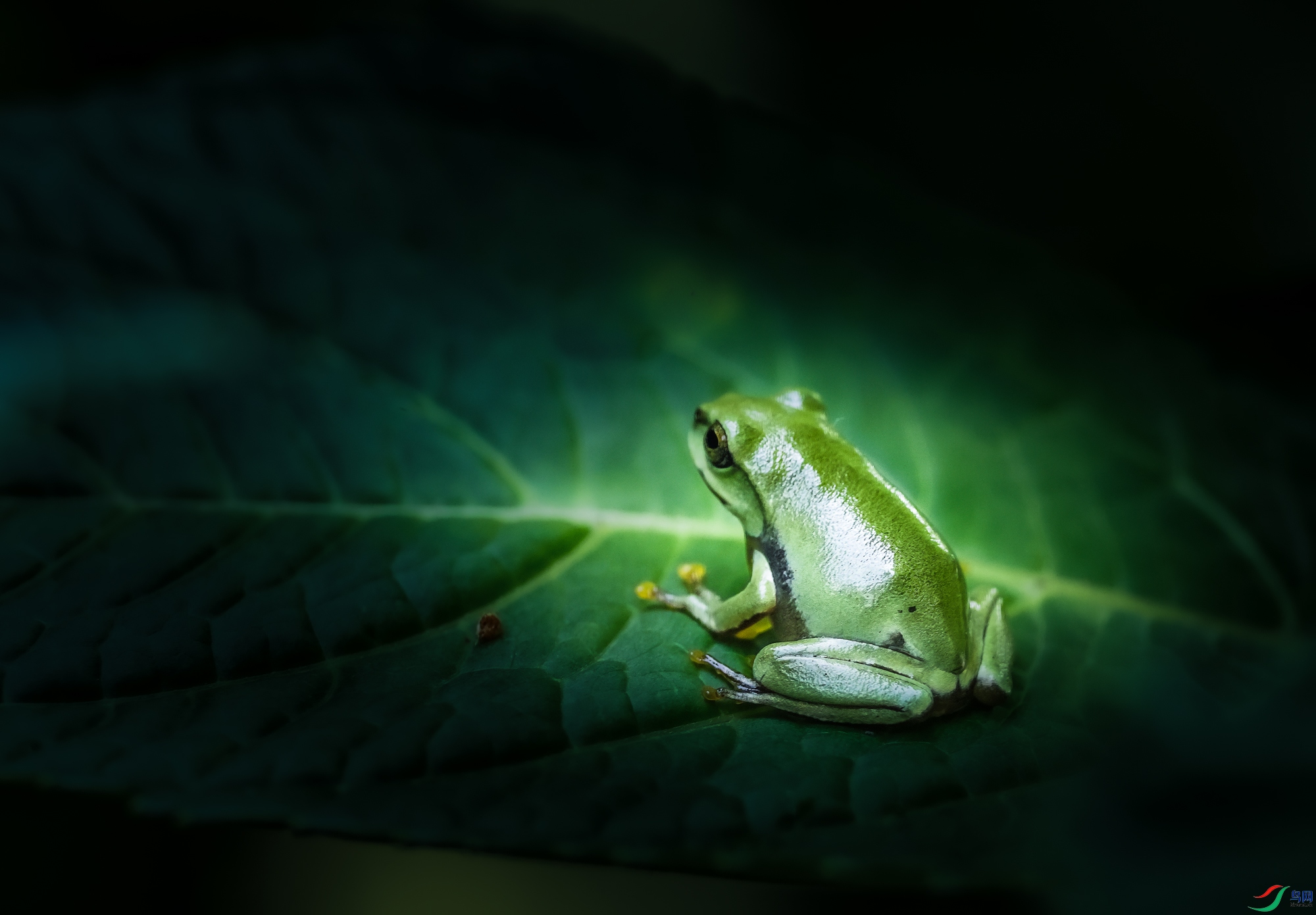 ����