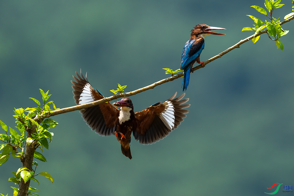 DSC02127.png     00001.png