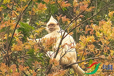 DSC00871.png   00002.png