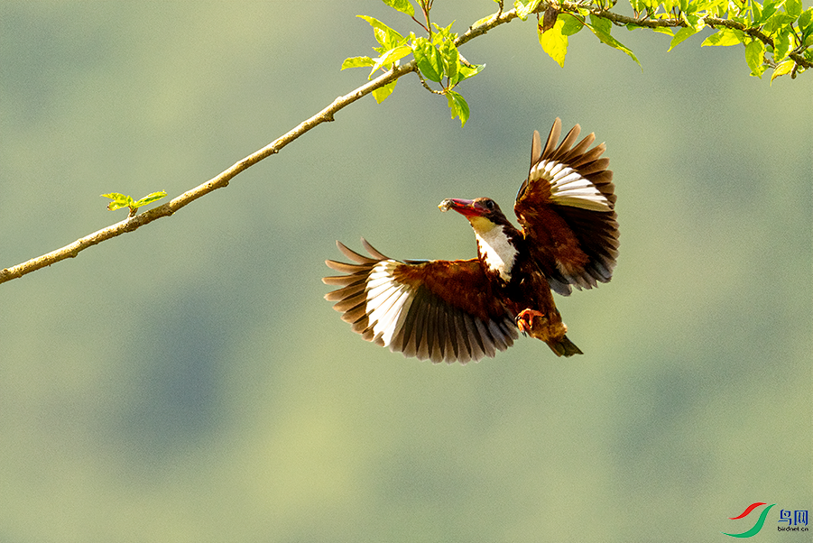 DSC01655.png     00001.png