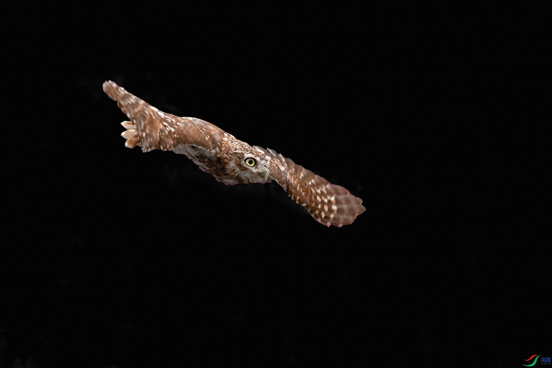 DSC_7668_DxOa.jpg