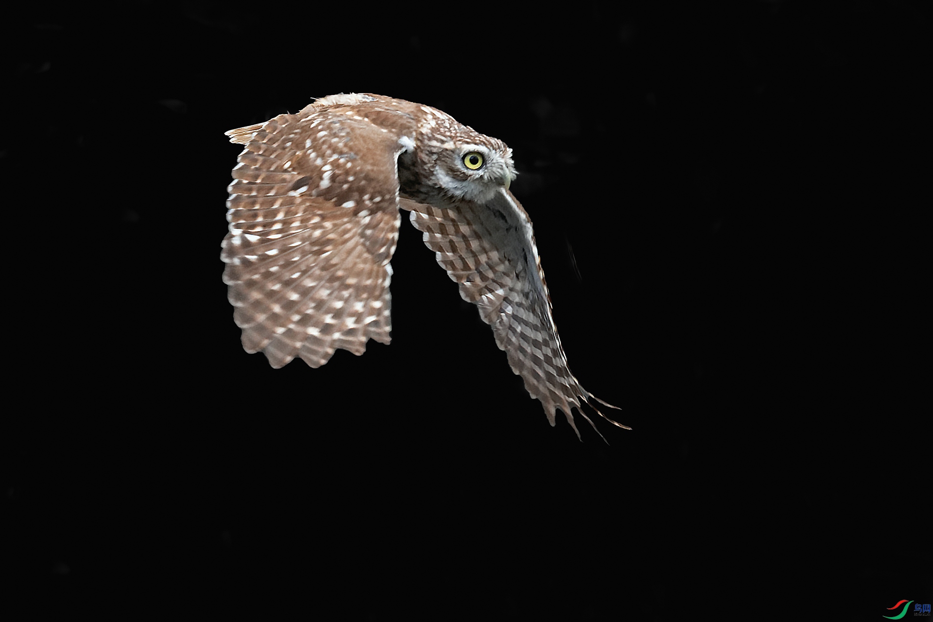 DSC_7640_DxOa.jpg