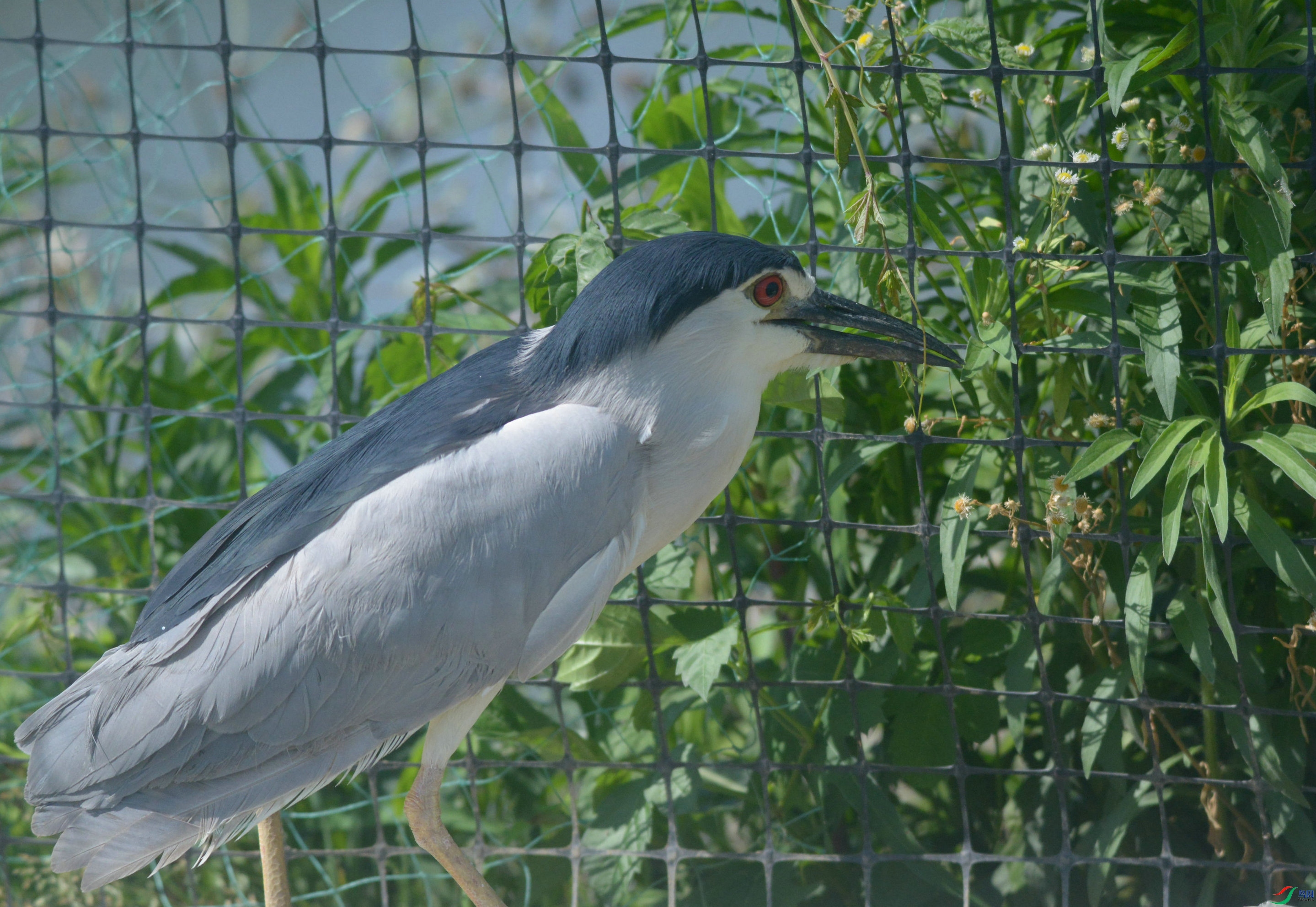 DSC_4065.jpg
