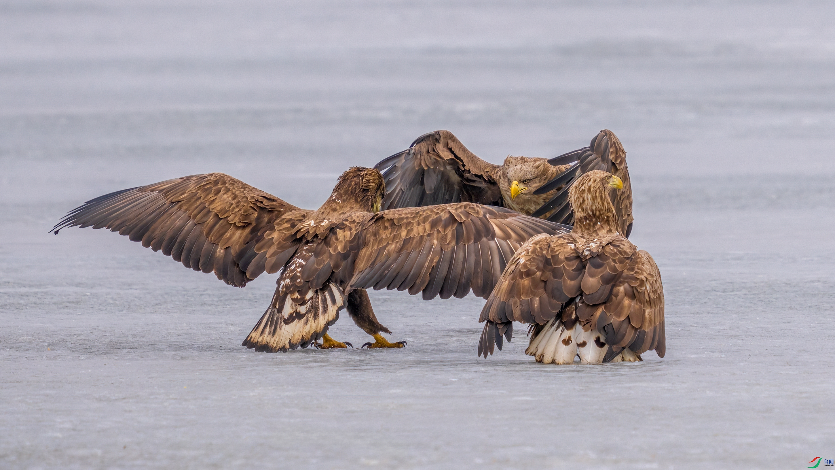 DSC05633 ����.jpg