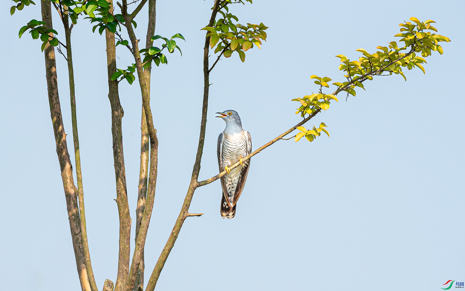 DSC_2794-1.jpg