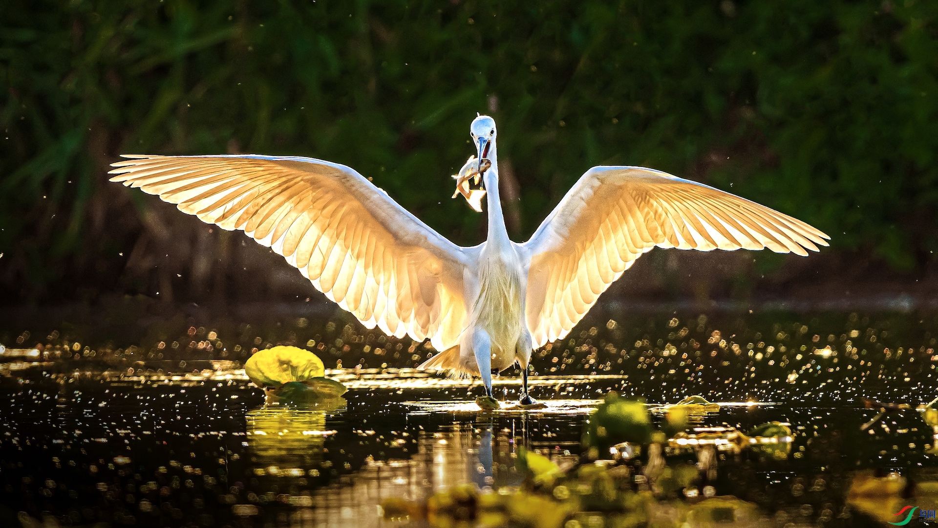 1-4 ���� 2.jpeg