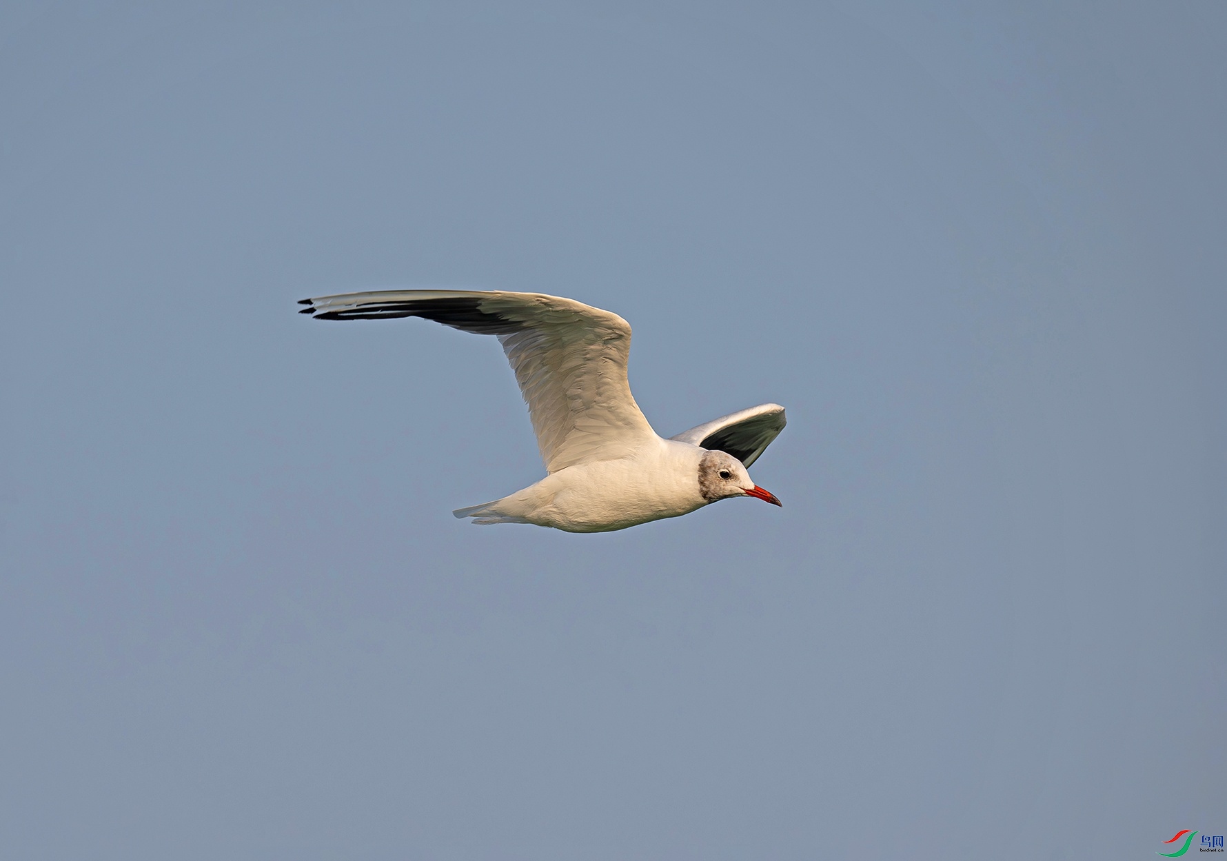 _DSC5193f.jpg