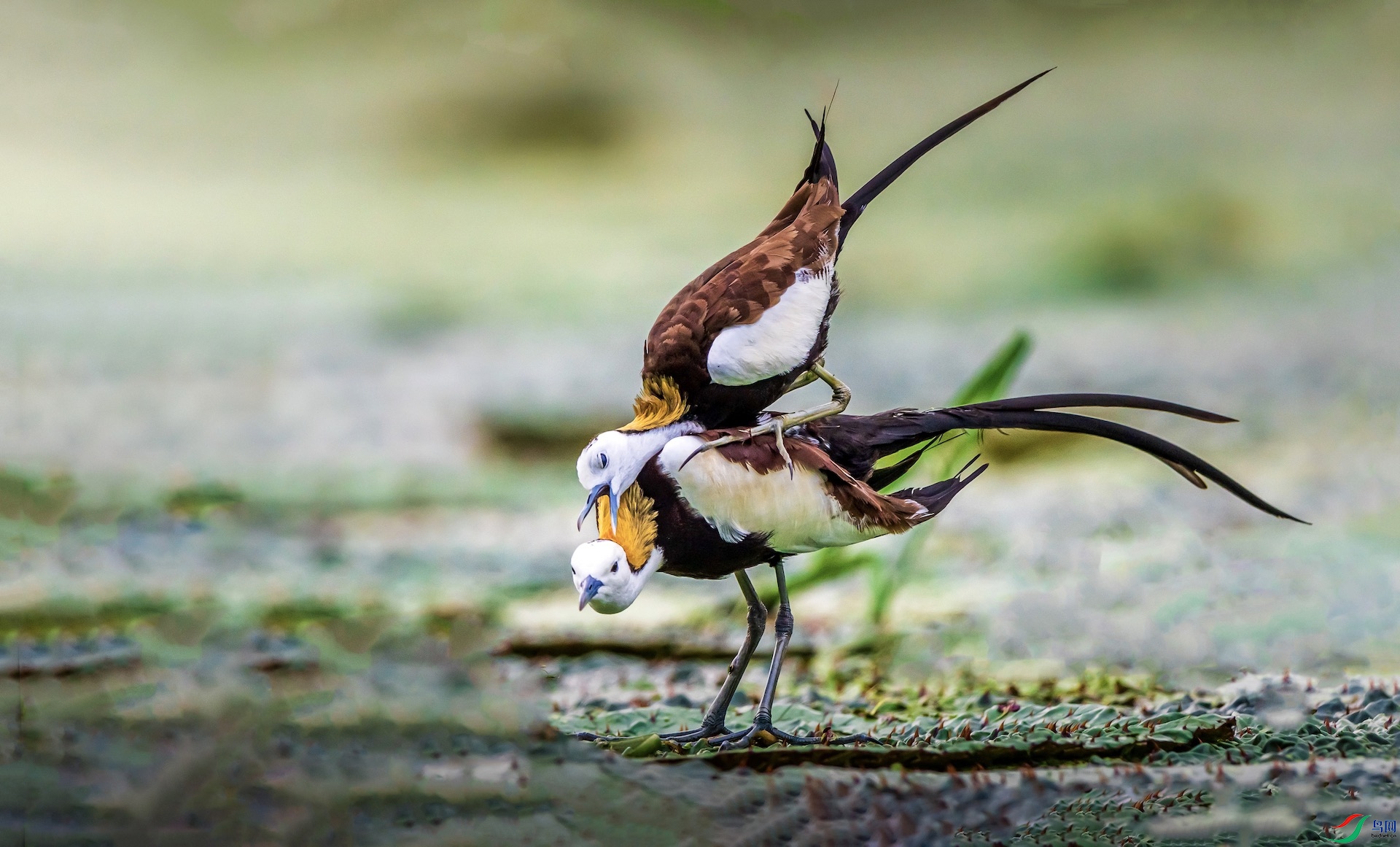 1-67 ���� 2.jpeg