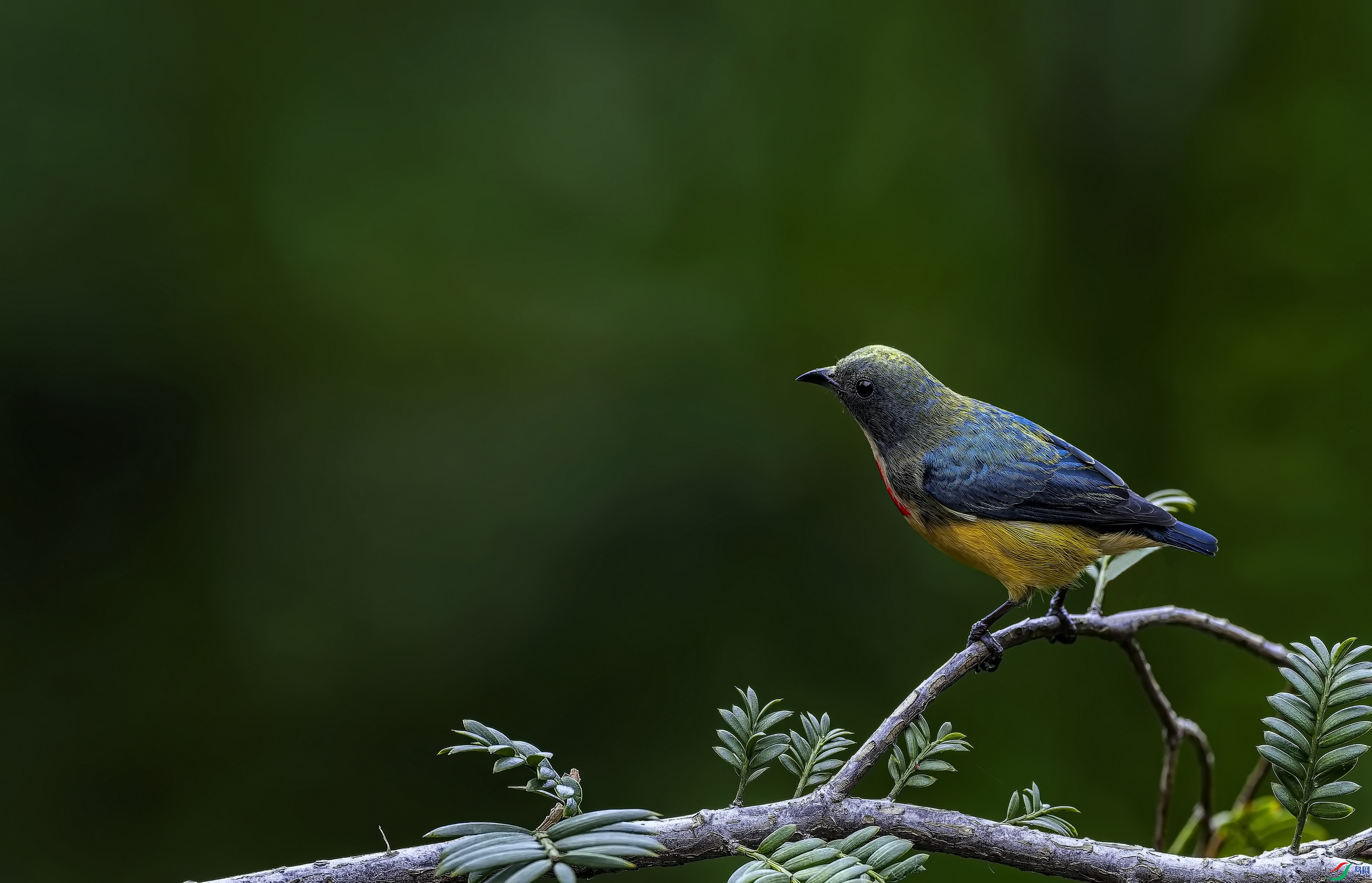 �����Ļ��� (244)-1.jpg