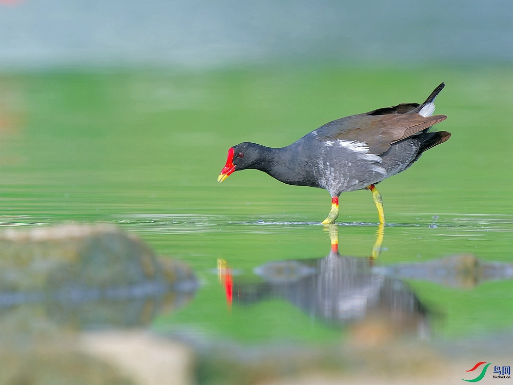 P8201243_DxO - ����.jpg