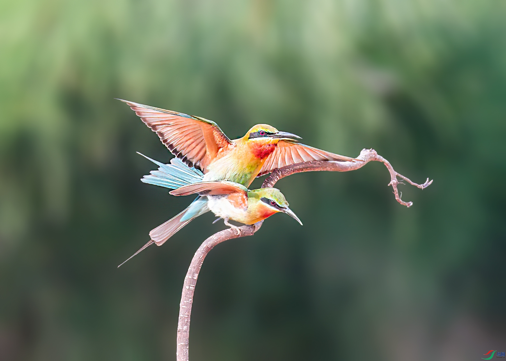 DSC_4265.jpg