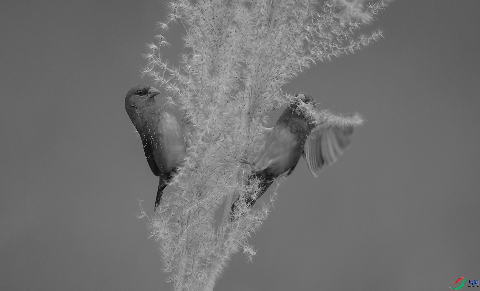 DSC_1343.jpg
