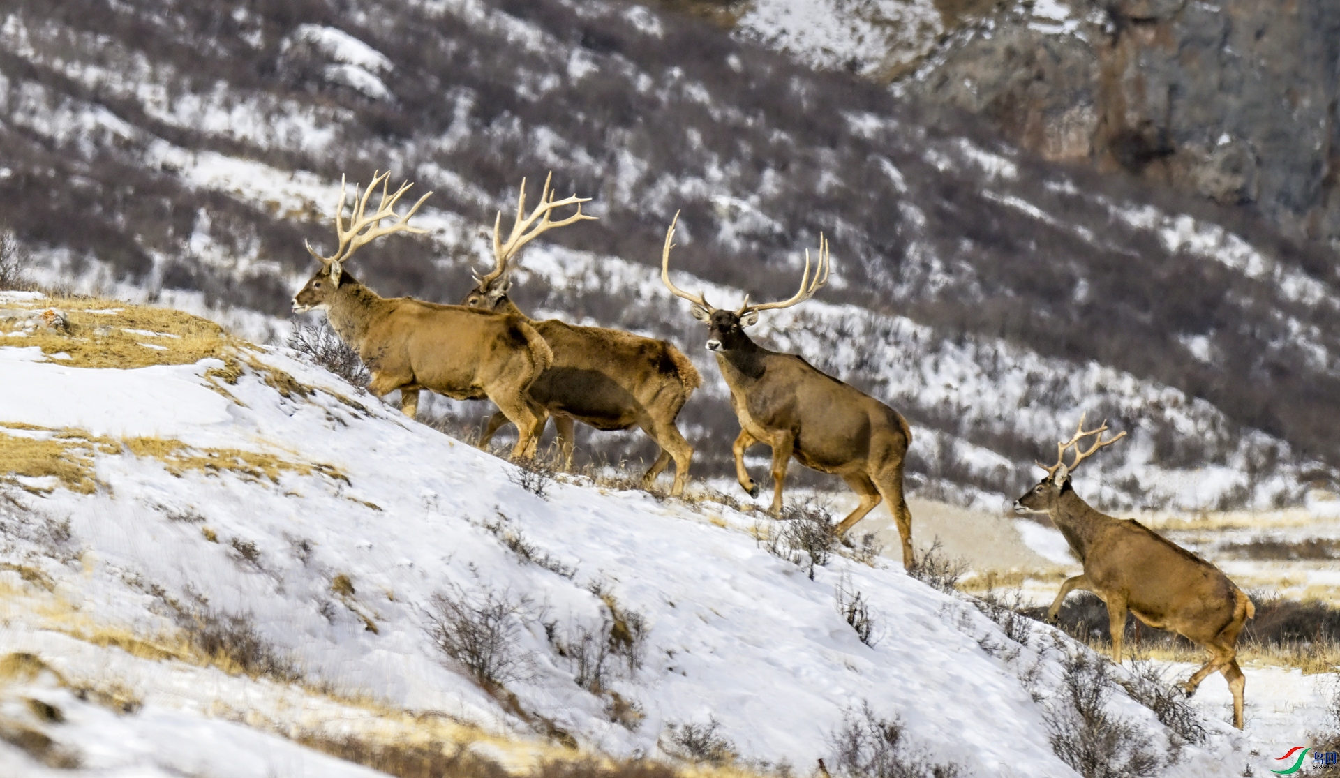 _DSC3909_����_����.jpg