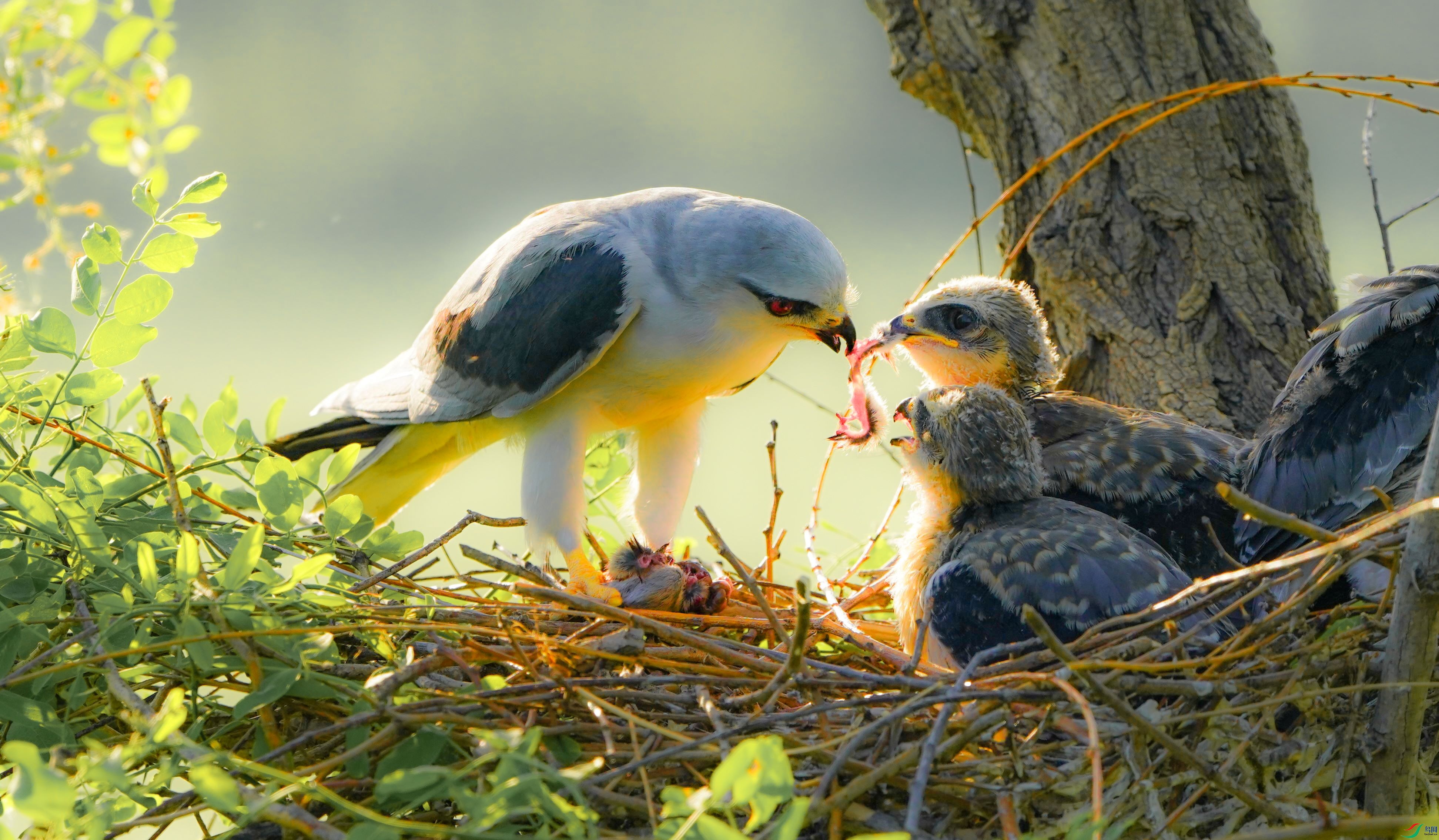 DSC03261 ����.jpg